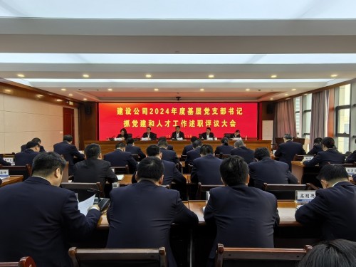 建設(shè)公司召開(kāi)2024年度黨支部書(shū)記抓基層黨建和人才工作述職評(píng)議會(huì)